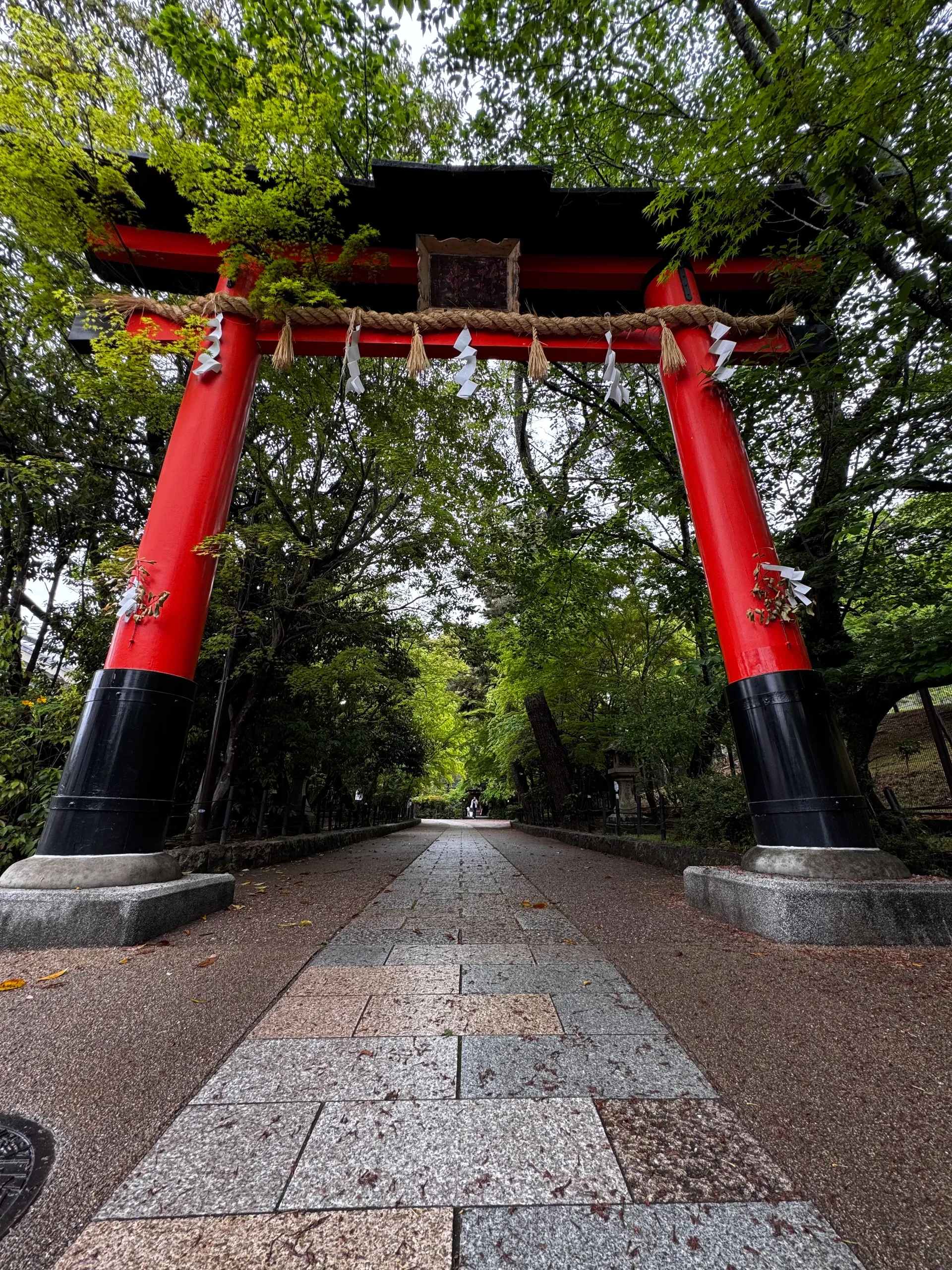 Grand torii rouge et noir au début d'une allée pavée bordée d'arbres.