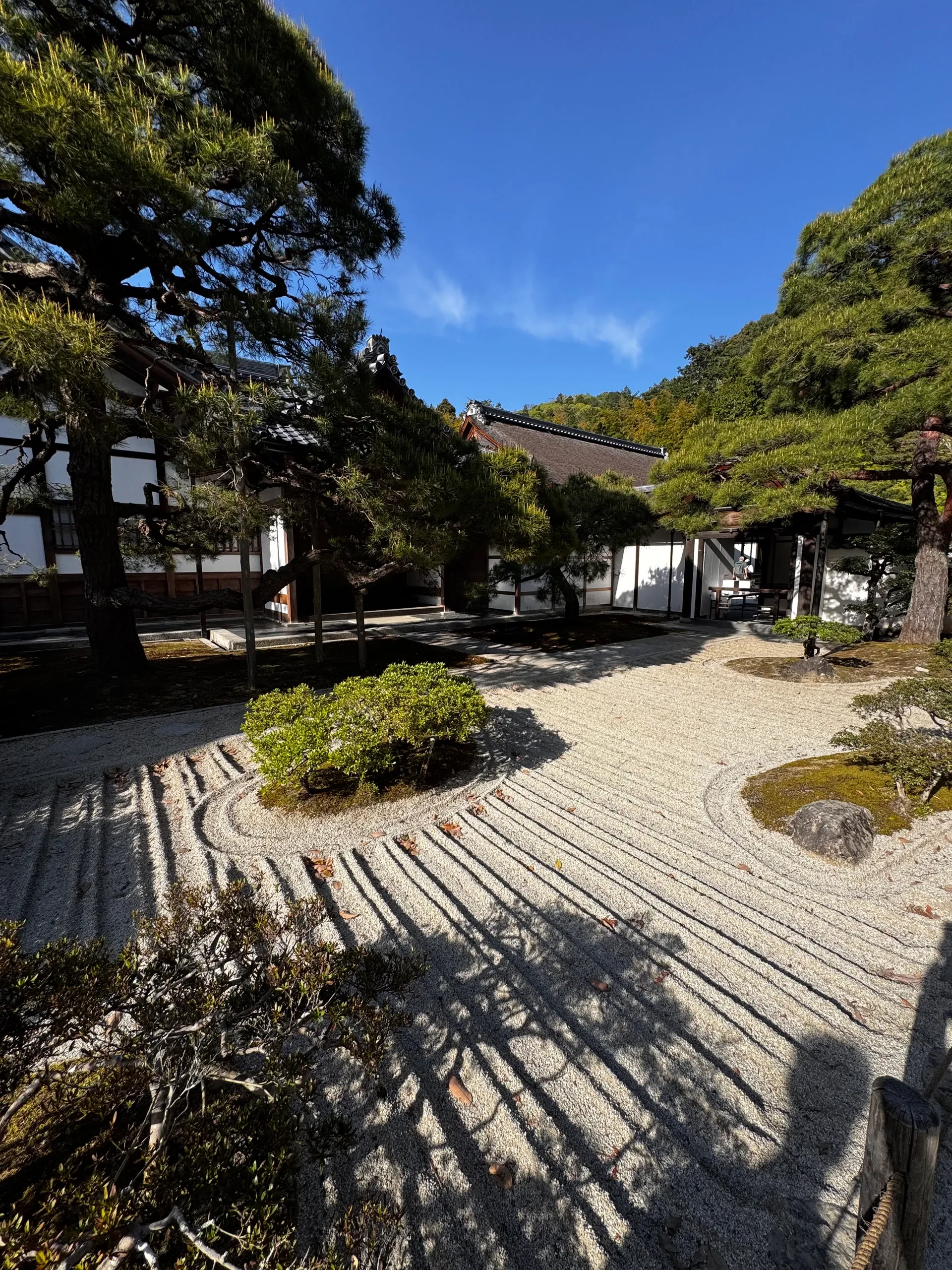 Jardin zen de gravier ratissé, bordé de pins et de rochers.