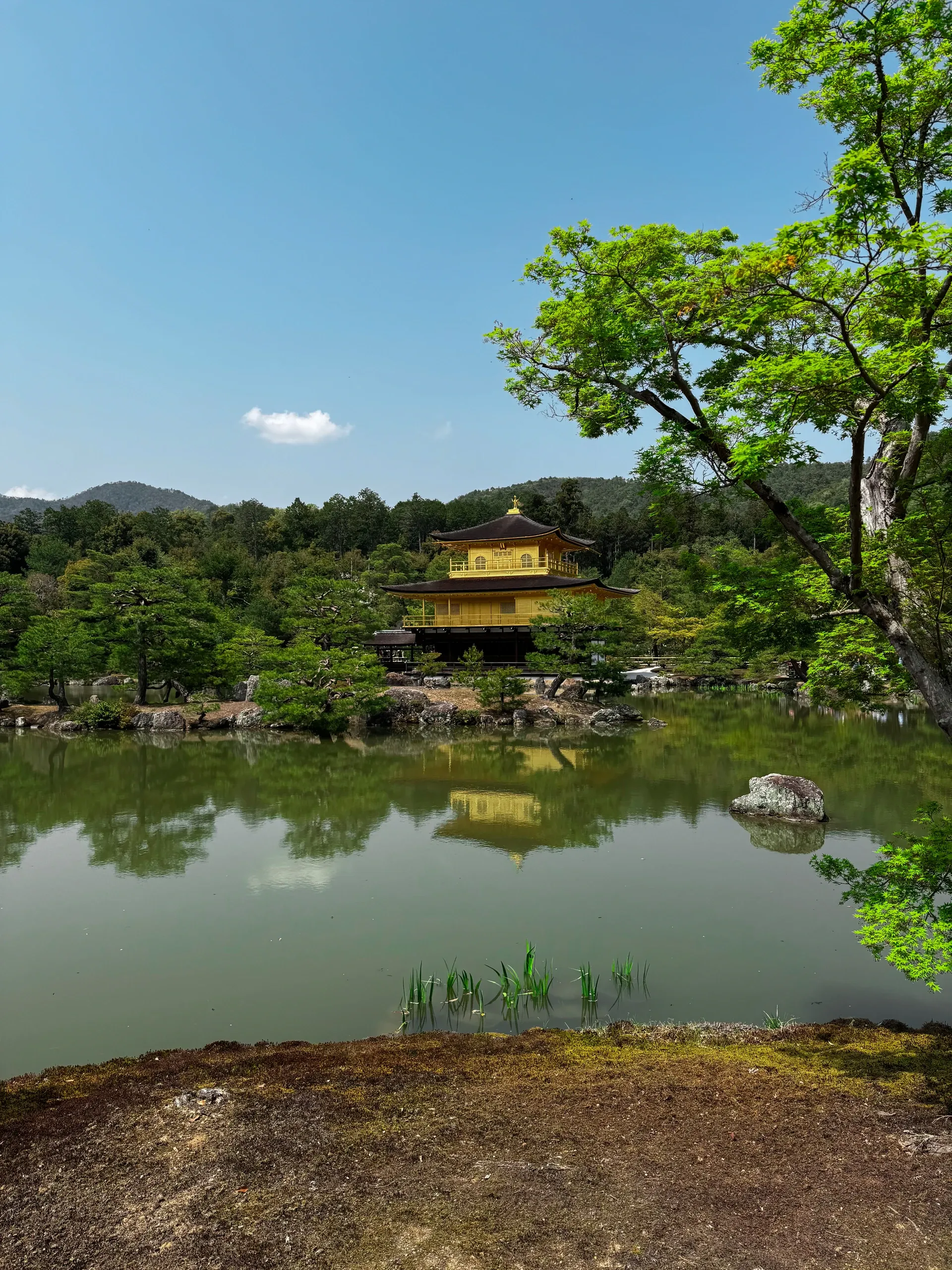 Le pavillon d'or de Kinkaku-ji au loin, au bord de son étang.