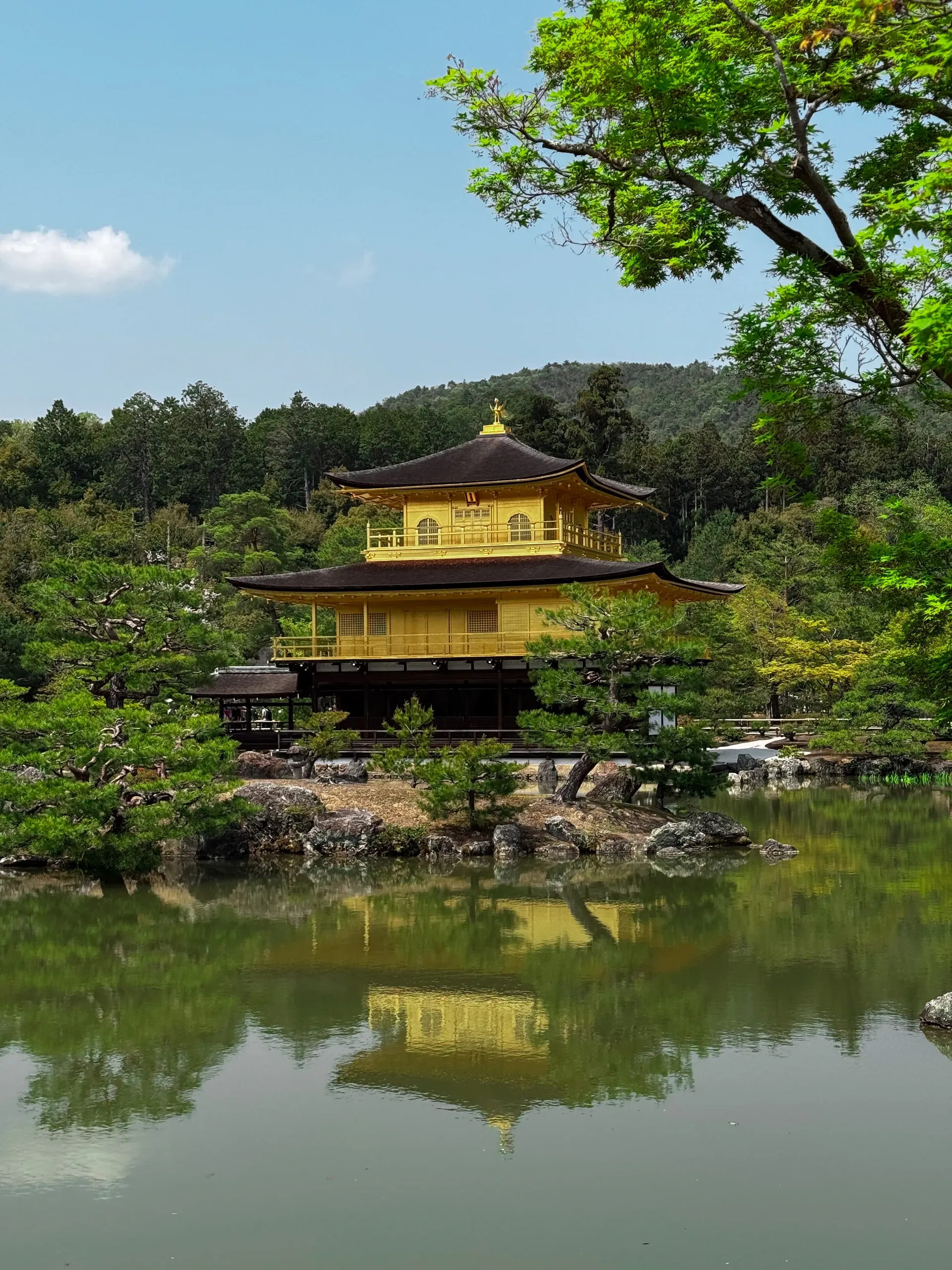Le pavillon d'or de Kinkaku-ji se reflète dans l'étang, entouré de pins.