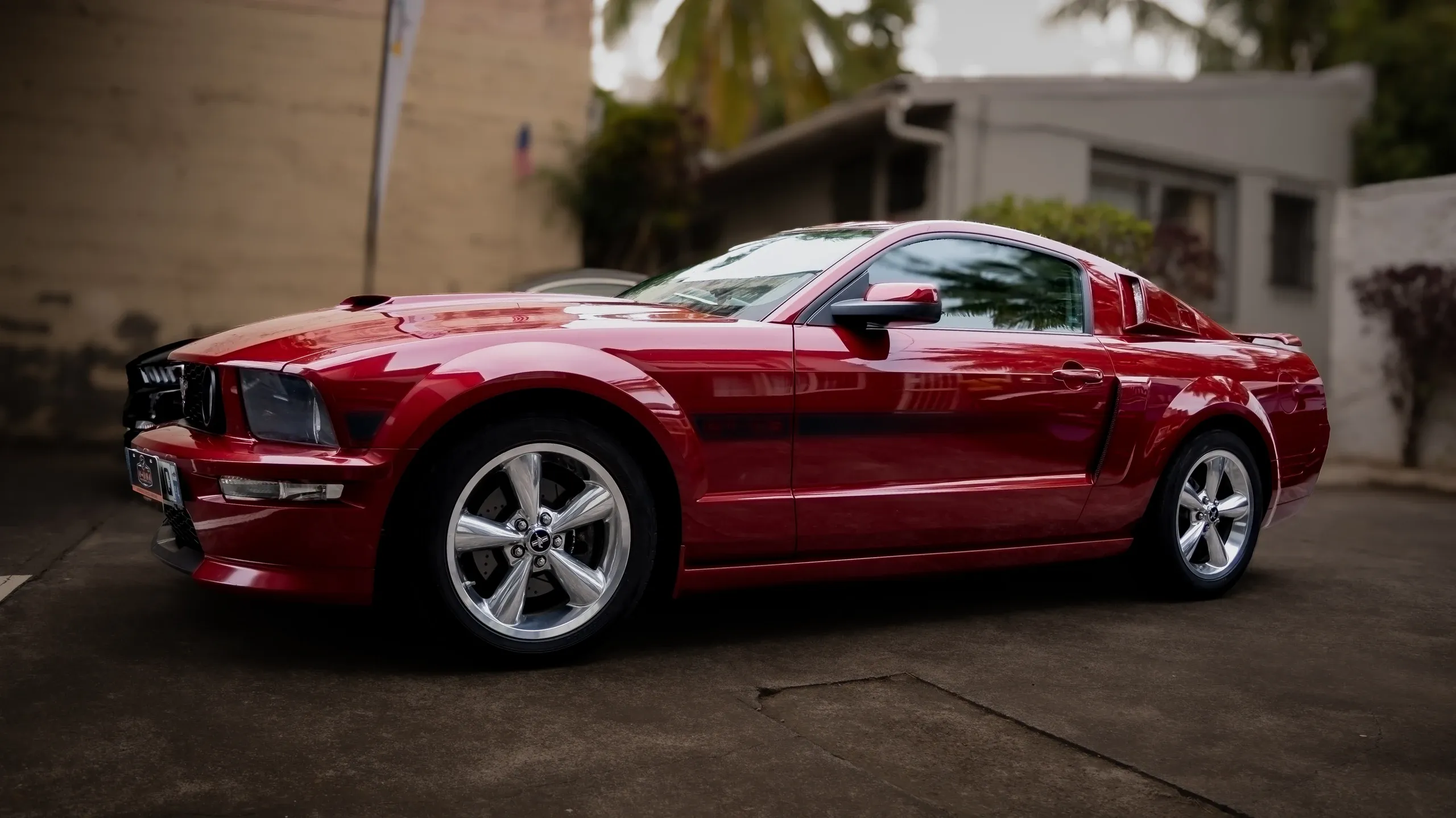 Ford Mustang GT rouge garée devant une maison entourée de palmiers.