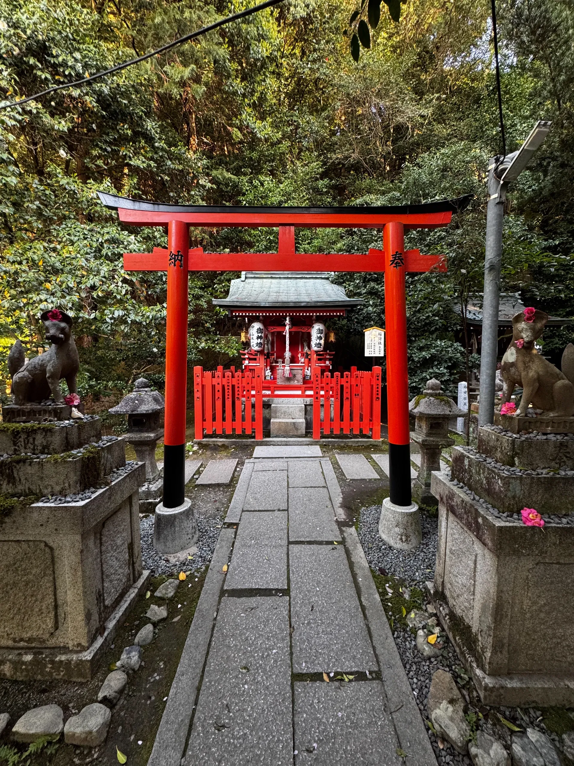 Torii vermillon gardé par deux renards de pierre, devant un petit sanctuaire rouge.
