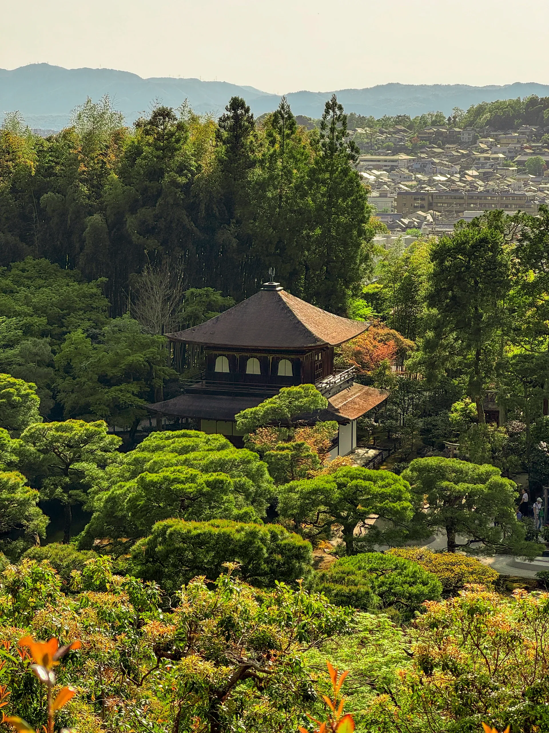 Toit de temple au milieu des arbres, la ville et les montagnes au loin.