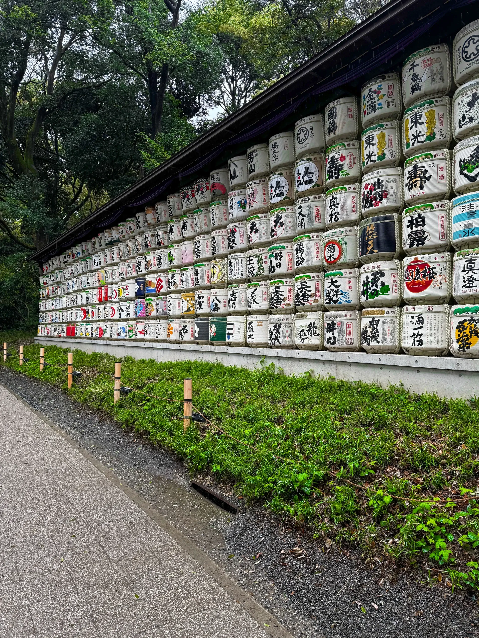 Mur de tonneaux de saké décorés, alignés le long d'une allée.